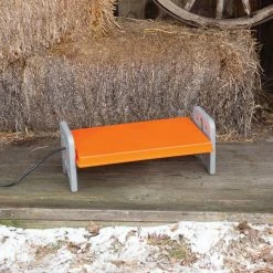 K&H 11.5 in. x 20 in. x 8 in. 40-Watt Thermo-Poultry Brooder Large Gray/Orange by Unbranded 19 K&H 11.5 in. x 20 in. x 8 in. 40-Watt Thermo-Poultry Brooder Large Gray/Orange by Unbranded -Cheap Bird & Wildlife Supplies Store accessories 100542463 31 1000