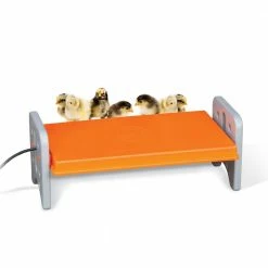 K&H 11.5 in. x 20 in. x 8 in. 40-Watt Thermo-Poultry Brooder Large Gray/Orange by Unbranded 12 K&H 11.5 in. x 20 in. x 8 in. 40-Watt Thermo-Poultry Brooder Large Gray/Orange by Unbranded -Cheap Bird & Wildlife Supplies Store accessories 100542463 a0 1000