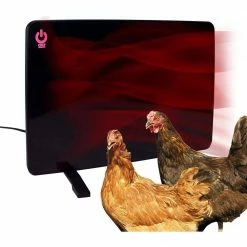 200-Watt Flat Panel Design Cozy Coop Safe Chicken Coop Heater by Unbranded