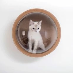 MYZOO Small Spaceship Gamma Wall Mounted Walnut Cat Bed Open on the Left by AndMakers -Cheap Bird & Wildlife Supplies Store andmakers cat beds mz ss gamma l w 76 1000