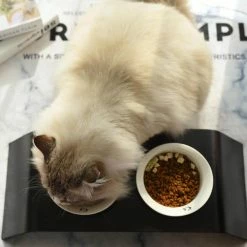 K1 CapCap Pet Food Table in Black Walnut by AndMakers -Cheap Bird & Wildlife Supplies Store andmakers cat food bowls k1 kf 04 44 1000