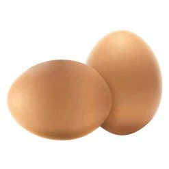Wooden Decoy Chicken Nesting Eggs Brown Training Eggs (Coverage Area - 0-Acres ) In-Ground (Set of 2) by Animal House