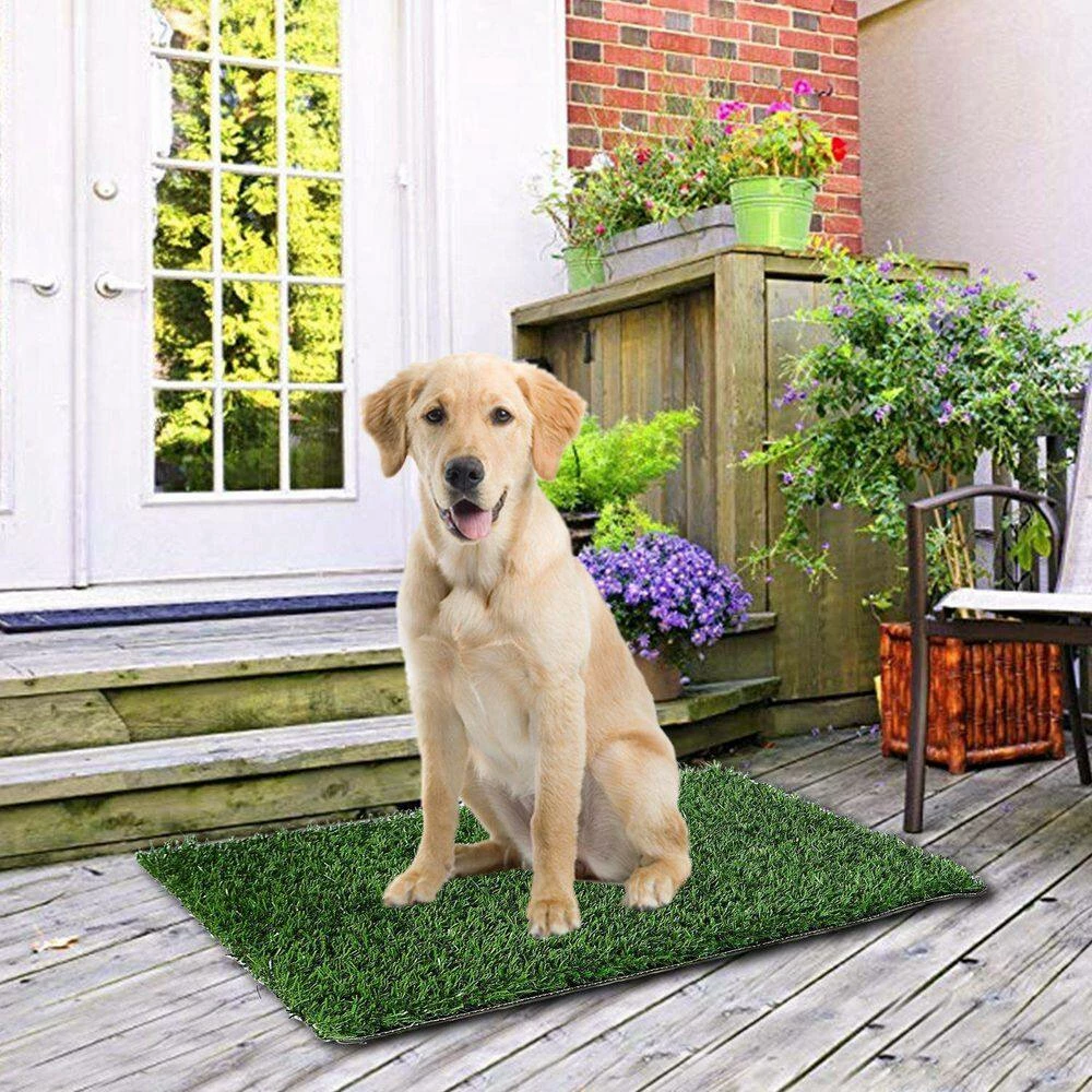 Replacement Grass Mat For Pet Potty Easy Cleaning by Unbranded 4 Replacement Grass Mat For Pet Potty Easy Cleaning by Unbranded - Image 4
