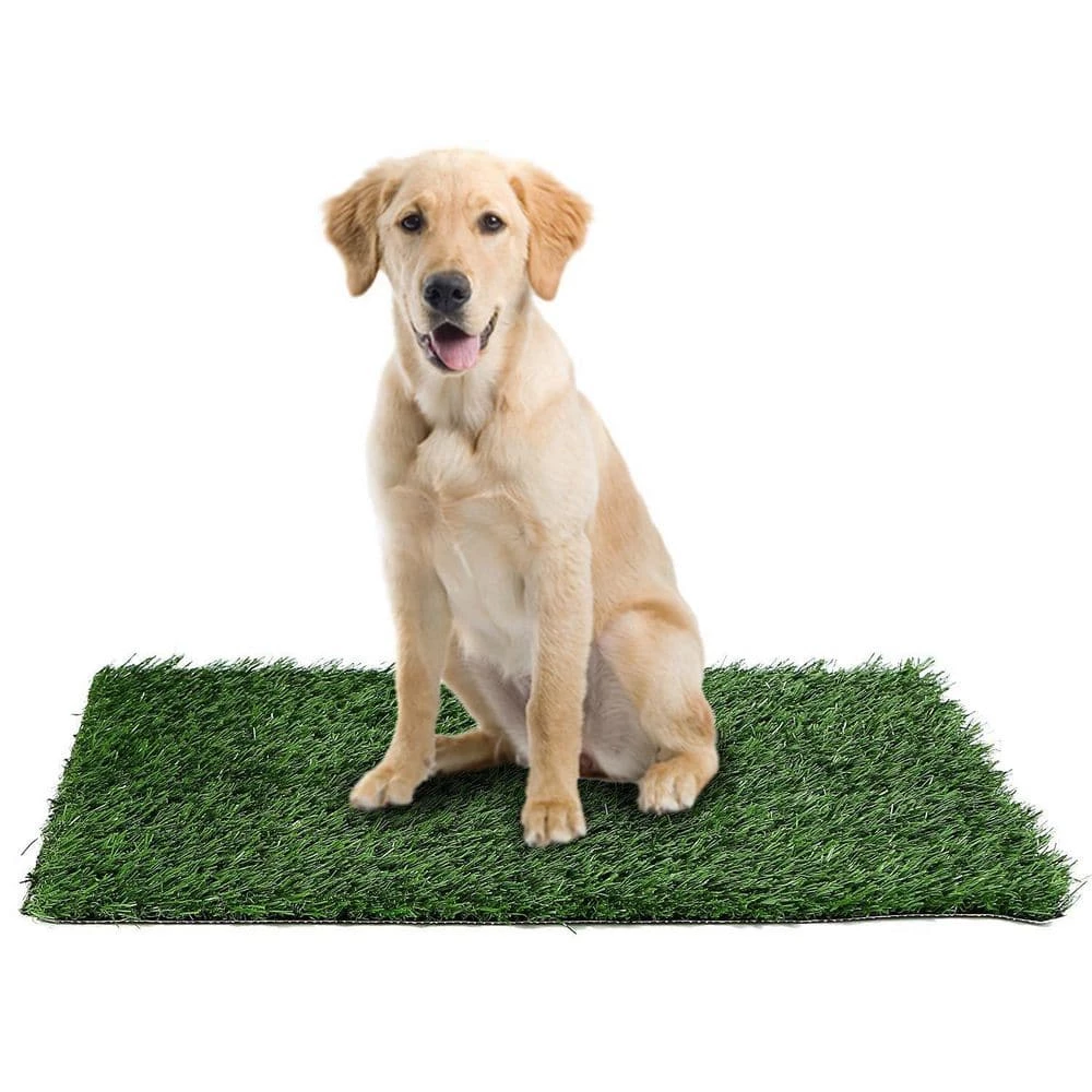 Replacement Grass Mat For Pet Potty Easy Cleaning by Unbranded 2 Replacement Grass Mat For Pet Potty Easy Cleaning by Unbranded - Image 2
