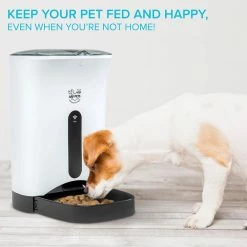Smart Automatic Pet Feeder W/Wi-Fi, Programmable Food Dispenser for Dogs and Cats by ARF PETS -Cheap Bird & Wildlife Supplies Store arf pets feeding supplies apafwifi 76 1000