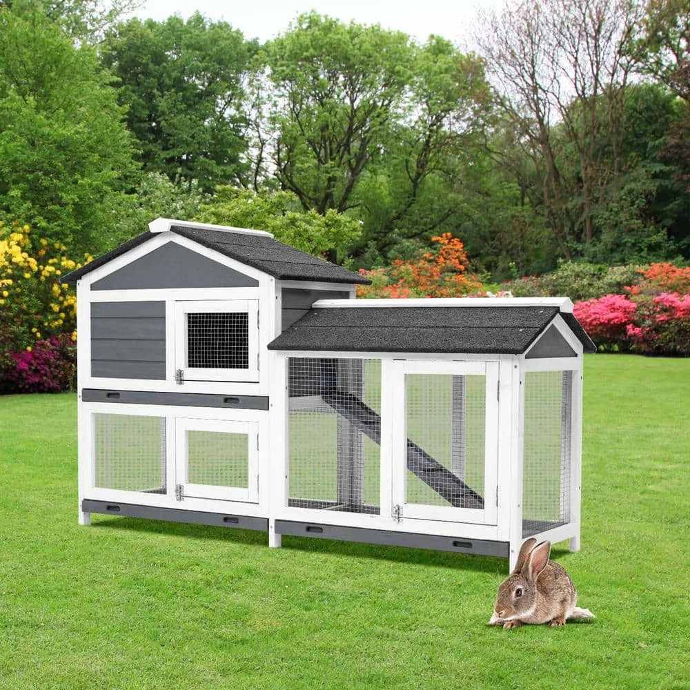 5.1 ft. x 1.7 ft x 3.1 ft. Small Animal House Pet Rabbit Hutch Wooden Chicken Coop with Tray and Ramp - Medium Gray by Angel Sar 2 5.1 ft. x 1.7 ft x 3.1 ft. Small Animal House Pet Rabbit Hutch Wooden Chicken Coop with Tray and Ramp - Medium Gray by Angel Sar - Image 2