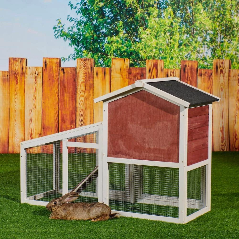 Outdoor Wooden Chicken Coop Backyard Garden Animals Pet Cage with Run, Ventilation Door, and Removable Tray, Red by Tatayosi 7 Outdoor Wooden Chicken Coop Backyard Garden Animals Pet Cage with Run, Ventilation Door, and Removable Tray, Red by Tatayosi - Image 7