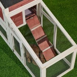 Outdoor Wooden Chicken Coop Backyard Garden Animals Pet Cage with Run, Ventilation Door, and Removable Tray, Red by Tatayosi 12 Outdoor Wooden Chicken Coop Backyard Garden Animals Pet Cage with Run, Ventilation Door, and Removable Tray, Red by Tatayosi -Cheap Bird & Wildlife Supplies Store beds cages djyc h w22533888 fa 1000