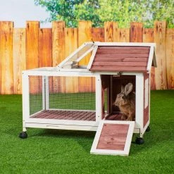 Outdoor Wooden Rabbit Hutch with Wheels, Red by Tatayosi -Cheap Bird & Wildlife Supplies Store beds cages djyc h w22533890 44 1000
