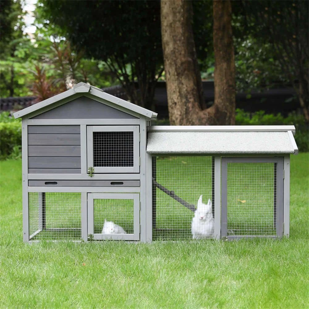 Removable Tray and Ramp Garden Backyard Pet House by Foobrues 6 Removable Tray and Ramp Garden Backyard Pet House by Foobrues - Image 6