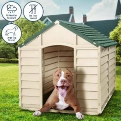 Dog Kennel Beige and Green-Large by Starplast 9 Dog Kennel Beige and Green-Large by Starplast -Cheap Bird & Wildlife Supplies Store beige green starplast dog houses 05701 4f 1000