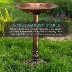 Pedestal Copper Birdbath by Best Choice Products 12 Pedestal Copper Birdbath by Best Choice Products -Cheap Bird & Wildlife Supplies Store best choice products bird bath fountains sky4606 fa 1000