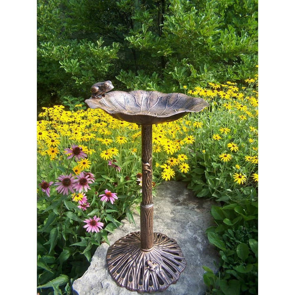 Frog Bird Bath by Unbranded 5 Frog Bird Bath by Unbranded - Image 5