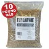 Flock Fest 10 lbs. Bag Fly Larvae by Unbranded