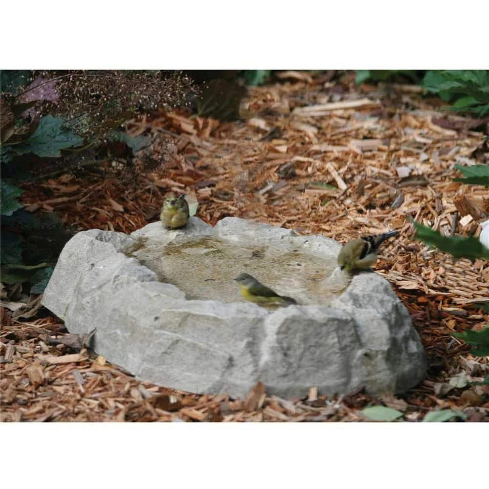 Rocky Mountain Ground Level Bird Bath by BIRDS choice 2 Rocky Mountain Ground Level Bird Bath by BIRDS choice - Image 2