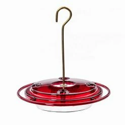 8 oz. Hummerfest Hummingbird Feeder by BIRDS choice