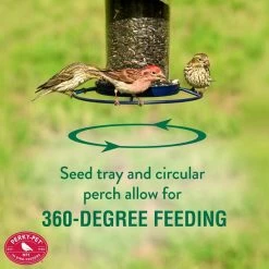 Blue Sparkle Panorama Hanging Bird Feeder - 2 lb. Capacity by Perky-Pet -Cheap Bird & Wildlife Supplies Store blue perky pet bird feeders 312b 1f 1000