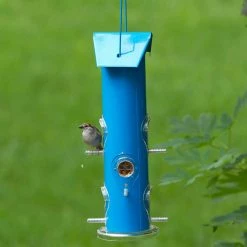 Blue Metal Tube Wild Bird Feeder - 1 lb. Capacity by Perky-Pet -Cheap Bird & Wildlife Supplies Store blue perky pet bird feeders 391 1f 1000