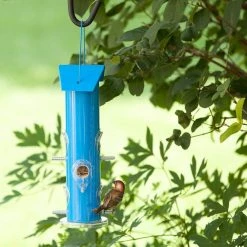 Blue Metal Tube Wild Bird Feeder - 1 lb. Capacity by Perky-Pet -Cheap Bird & Wildlife Supplies Store blue perky pet bird feeders 391 31 1000