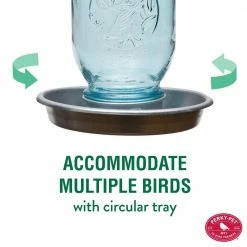 Blue Mason Jar Decorative Glass Bird Waterer - 32 oz. Capacity by Perky-Pet -Cheap Bird & Wildlife Supplies Store blue perky pet bird feeders 783 4f 1000