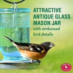 Blue Mason Jar Decorative Glass Bird Waterer - 32 oz. Capacity by Perky-Pet -Cheap Bird & Wildlife Supplies Store blue perky pet bird feeders 783 c3 1000