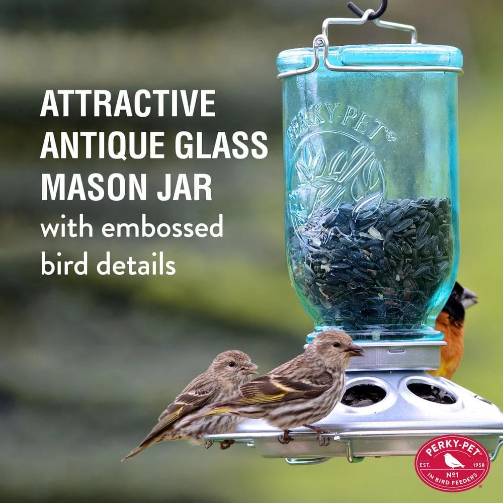 Blue Mason Jar Decorative Glass Hanging Bird Feeder - 1 lb. Capacity by Perky-Pet 3 Blue Mason Jar Decorative Glass Hanging Bird Feeder - 1 lb. Capacity by Perky-Pet - Image 3