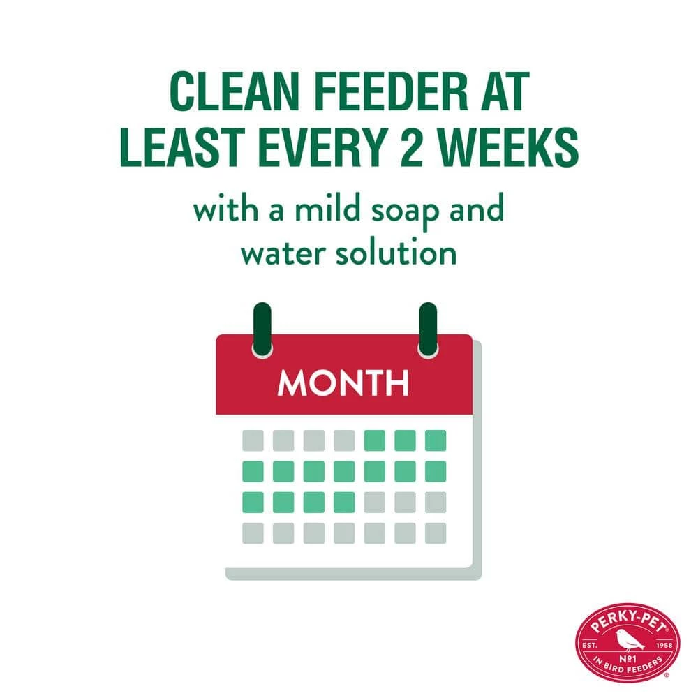 Blue Mason Jar Decorative Glass Hanging Bird Feeder - 1 lb. Capacity by Perky-Pet 6 Blue Mason Jar Decorative Glass Hanging Bird Feeder - 1 lb. Capacity by Perky-Pet - Image 6