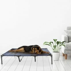 Extra Large Navy Blue Elevated Pet Bed by Petmaker -Cheap Bird & Wildlife Supplies Store blue petmaker dog beds pillows hw3210044 1f 1000