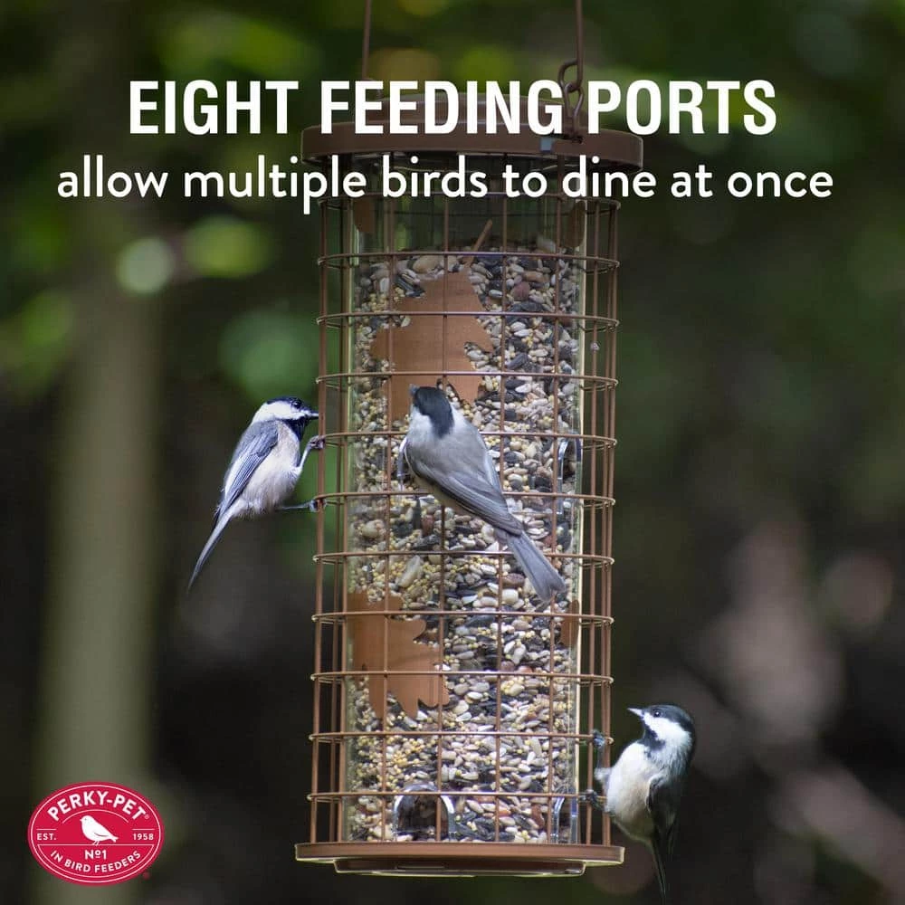 Squirrel Stumper Squirrel Resistant Metal Wild Bird Feeder - 3 lbs. Capacity by Perky-Pet 5 Squirrel Stumper Squirrel Resistant Metal Wild Bird Feeder - 3 lbs. Capacity by Perky-Pet - Image 5