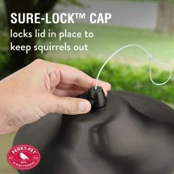 Brown Panorama Hanging Bird Feeder - 2 lb. Capacity by Perky-Pet 17 Brown Panorama Hanging Bird Feeder - 2 lb. Capacity by Perky-Pet -Cheap Bird & Wildlife Supplies Store brown perky pet bird feeders 312 44 1000