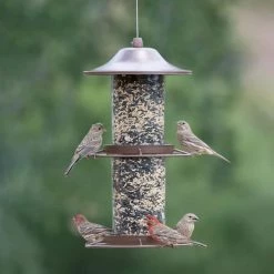 Brown Panorama Hanging Bird Feeder - 4.5 lb. Capacity by Perky-Pet -Cheap Bird & Wildlife Supplies Store brown perky pet bird feeders 325s 76 1000