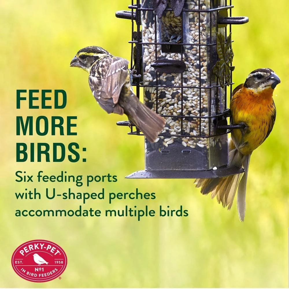 Squirrel-Be-Gone Squirrel Resistant Metal Wild Bird Feeder - 2 lb. Capacity by Perky-Pet 5 Squirrel-Be-Gone Squirrel Resistant Metal Wild Bird Feeder - 2 lb. Capacity by Perky-Pet - Image 5