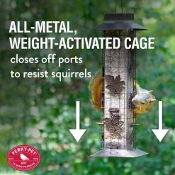Squirrel-Be-Gone Squirrel Resistant Metal Wild Bird Feeder - 2 lb. Capacity by Perky-Pet 12 Squirrel-Be-Gone Squirrel Resistant Metal Wild Bird Feeder - 2 lb. Capacity by Perky-Pet -Cheap Bird & Wildlife Supplies Store brown perky pet bird feeders 336 c3 1000