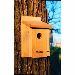 Bluebird Bird House by Woodlink -Cheap Bird & Wildlife Supplies Store brown woodlink bird houses bb1 31 1000