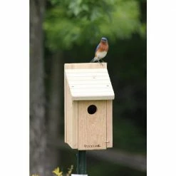 Bluebird Bird House by Woodlink -Cheap Bird & Wildlife Supplies Store brown woodlink bird houses bb1 fa 1000
