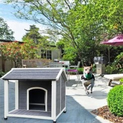 35.83 in. W Wooden Modern Outdoor Waterproof Windproof Dog Cage Dog House Dog Kennel with Porch Deck by Foobrues -Cheap Bird & Wildlife Supplies Store burlywood dog houses aun 23172462 c3 1000