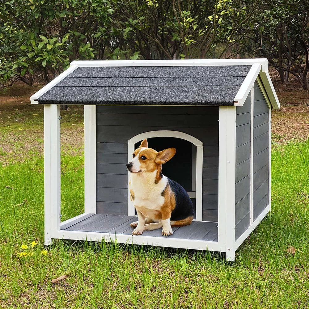 35.83 in. W Outdoor Wooden Dog House by Foobrues 5 35.83 in. W Outdoor Wooden Dog House by Foobrues - Image 5