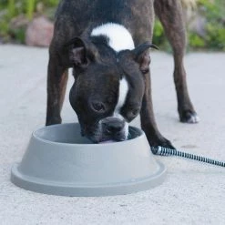 K&H 32 oz. Plastic Heated Water Dish Slate Gray by Unbranded 15 K&H 32 oz. Plastic Heated Water Dish Slate Gray by Unbranded -Cheap Bird & Wildlife Supplies Store cat drinking fountains water dishes 100213010 31 1000