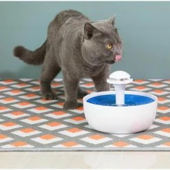 Pet Automatic Drinking Water Fountain for Cats, Dogs and Birds with Carbon Filter, 60 oz. Water Capacity by Unbranded 12 Pet Automatic Drinking Water Fountain for Cats, Dogs and Birds with Carbon Filter, 60 oz. Water Capacity by Unbranded -Cheap Bird & Wildlife Supplies Store cat drinking fountains water dishes qi003666 66 1000