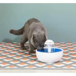 Pet Automatic Drinking Water Fountain for Cats, Dogs and Birds with Carbon Filter, 60 oz. Water Capacity by Unbranded 13 Pet Automatic Drinking Water Fountain for Cats, Dogs and Birds with Carbon Filter, 60 oz. Water Capacity by Unbranded -Cheap Bird & Wildlife Supplies Store cat drinking fountains water dishes qi003666 c3 1000