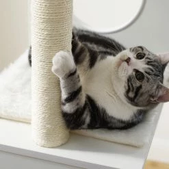 Sheree 50 in. White Cat Tree by Sam's Pets -Cheap Bird & Wildlife Supplies Store cat trees scratch posts sp ct1297wh 40 1000