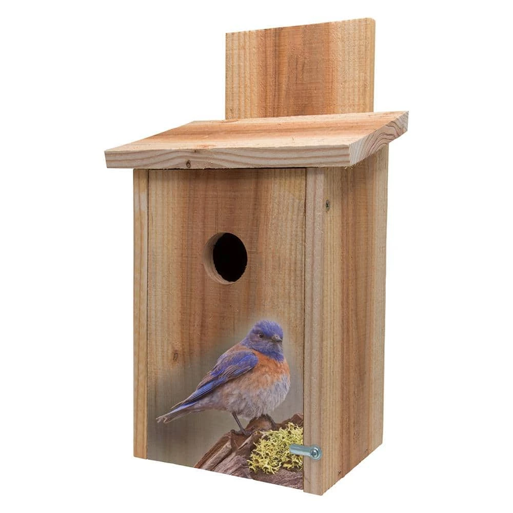 Decorative Blue Bird on Stump Design Cedar Blue Bird House by S and K 1 Decorative Blue Bird on Stump Design Cedar Blue Bird House by S and K