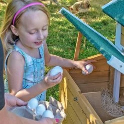 3 ft. Wire Run Chicken Coop Extension Kit for The Chick-Inn Coops by Unbranded -Cheap Bird & Wildlife Supplies Store chicken coops 5403690 1f 1000