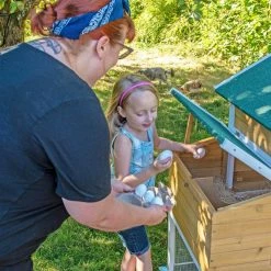 3 ft. Wire Run Chicken Coop Extension Kit for The Chick-Inn Coops by Unbranded -Cheap Bird & Wildlife Supplies Store chicken coops 5403690 31 1000