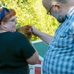 3 ft. Wire Run Chicken Coop Extension Kit for The Chick-Inn Coops by Unbranded -Cheap Bird & Wildlife Supplies Store chicken coops 5403690 44 1000