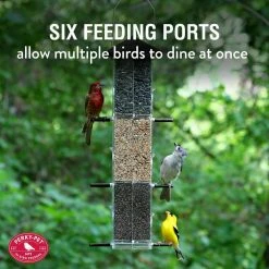Evenseed Silo Hanging Bird Feeder - 3 lb. Capacity by Perky-Pet 15 Evenseed Silo Hanging Bird Feeder - 3 lb. Capacity by Perky-Pet -Cheap Bird & Wildlife Supplies Store clear bird feeders 112 1f 1000