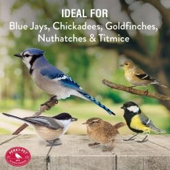 Evenseed Silo Hanging Bird Feeder - 3 lb. Capacity by Perky-Pet 16 Evenseed Silo Hanging Bird Feeder - 3 lb. Capacity by Perky-Pet -Cheap Bird & Wildlife Supplies Store clear bird feeders 112 44 1000