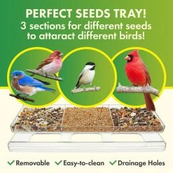 Weatherproof Window Bird Feeder with Strong Suction Cups, Drainage Holes, and 3-Sectioned Removable Tray by DF OMER -Cheap Bird & Wildlife Supplies Store clear bird feeders dfo wbf 001 4f 1000
