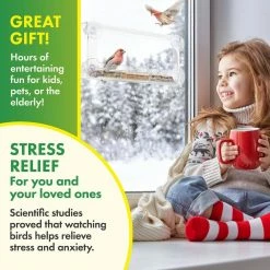 Weatherproof Window Bird Feeder with Strong Suction Cups, Drainage Holes, and 3-Sectioned Removable Tray by DF OMER -Cheap Bird & Wildlife Supplies Store clear bird feeders dfo wbf 001 fa 1000