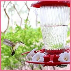 Clear Electronectar for Hummingbirds and Orioles by Pennington -Cheap Bird & Wildlife Supplies Store clear pennington bird seed food 100543828 77 1000